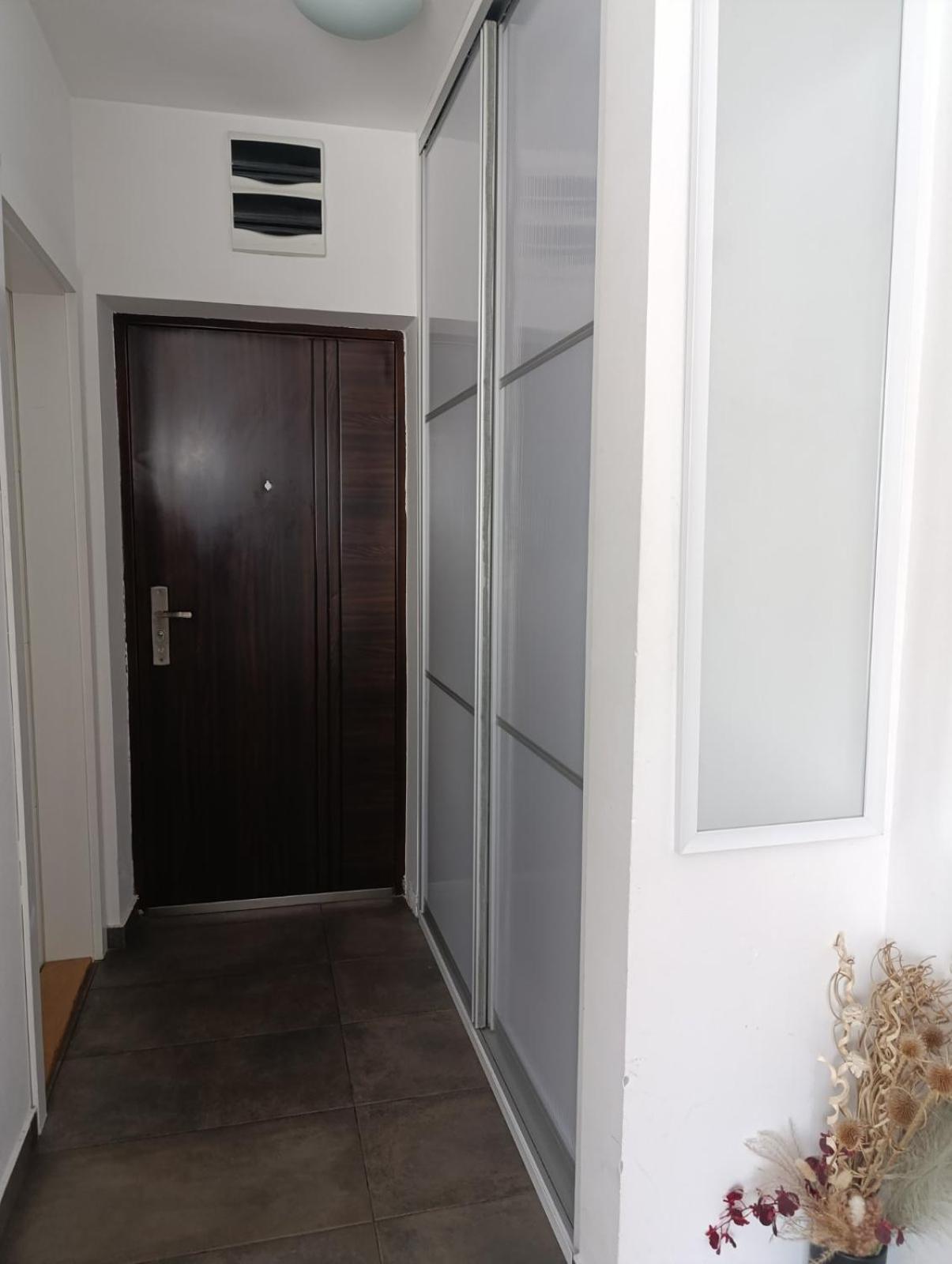 Nikola Ns Apartment Novi Sad Bagian luar foto