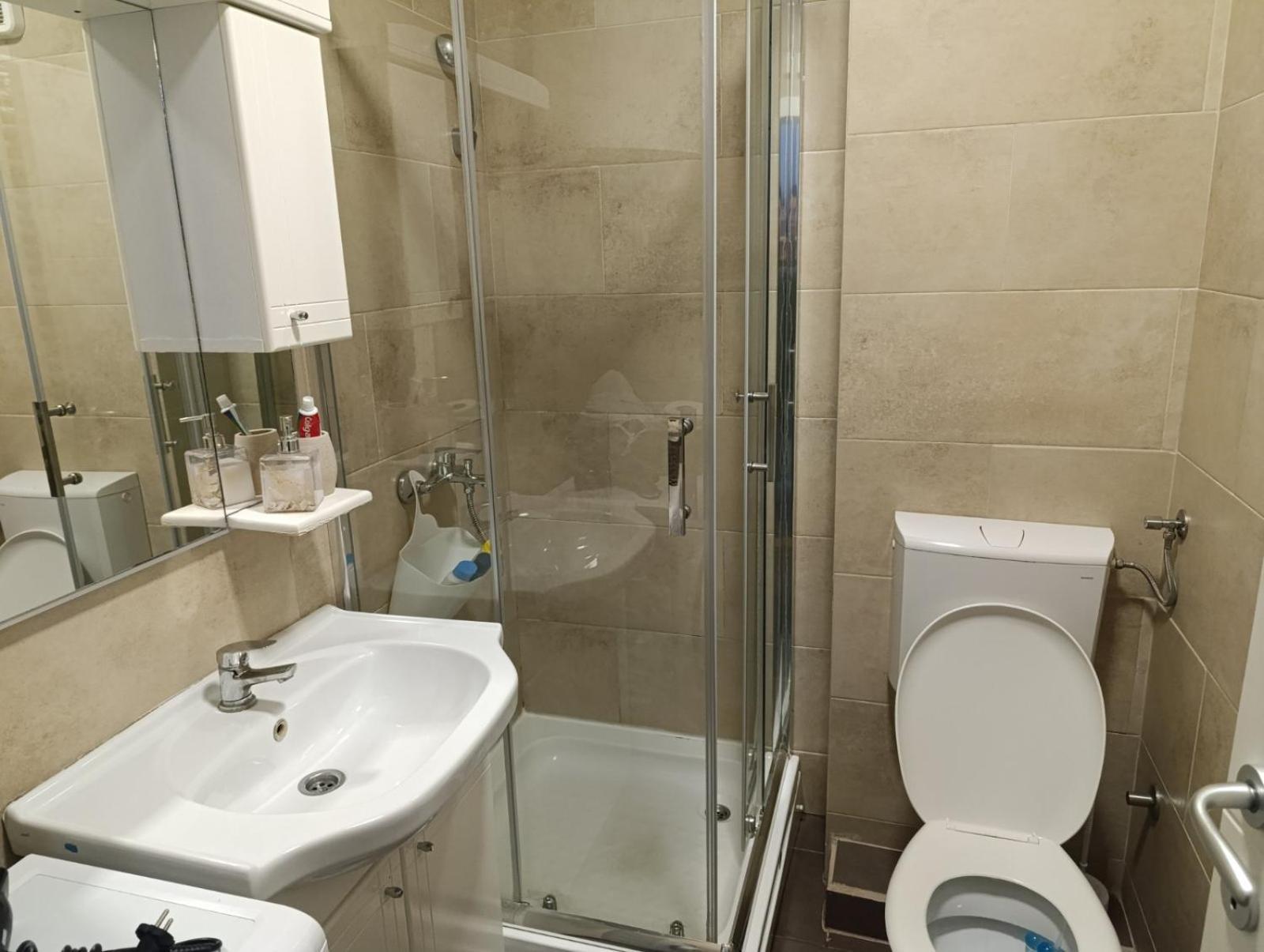 Nikola Ns Apartment Novi Sad Bagian luar foto